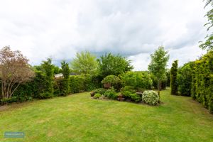 Garden- click for photo gallery